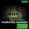 Green Windows (Negru Remix) - Thorsten Hammer lyrics