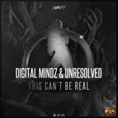 This Can't Be Real (Extended Mix) artwork
