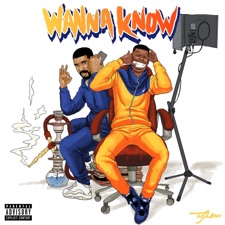Wanna Know artwork