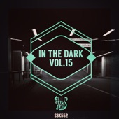 In the Dark, Vol. 15 artwork