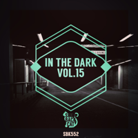 Various Artists - In the Dark, Vol. 15 artwork