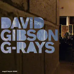 G-Rays (feat. Freddie Hendrix, Wayne Escoffery & Rick Germanson) by David Gibson album reviews, ratings, credits