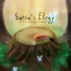 Saria's Elegy (From "Ocarina of Time") - Single album lyrics, reviews, download