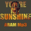 You're My Sunshine (feat. The Sunside Band) - Single