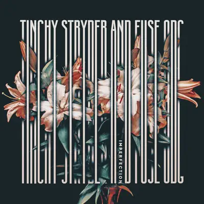 Imperfection (feat. Fuse ODG) [Remixes] - Single - Tinchy Stryder