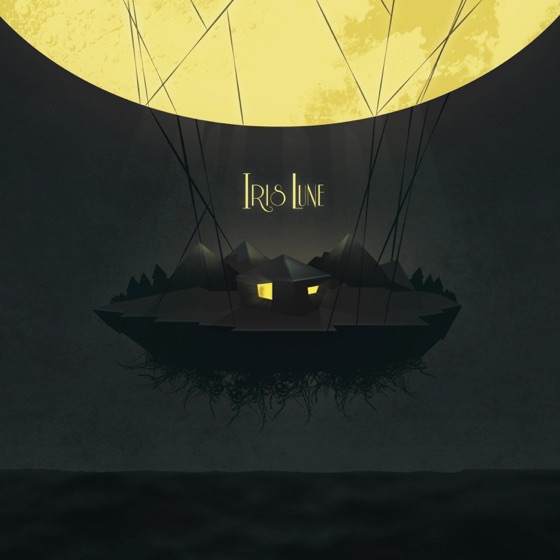 Cover artwork for Leaking