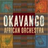 Okavango African Orchestra - Hadar Gerki