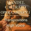 Xavier Palacios - Giulio Cesare, HWV 17: Al lampo dell'armi (In C Major)