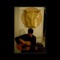 Clemence - Nicolas Falcon lyrics