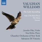Vaughan Williams: The Lark Ascending artwork