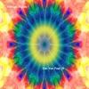 Vintage Fusion - Can You Feel It