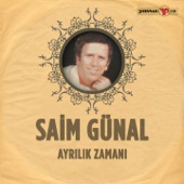 Büyüleyen Gözlerinle artwork