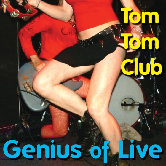 Cover artwork for She's Dangerous