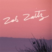 Zeb Zaitz - Last of the Glitter