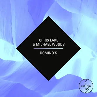 Domino's by Michael Woods & Chris Lake song reviws