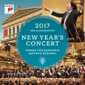 New Year's Concert 2017 (Neujahrskonzert 2017) artwork