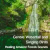 Gentle Waterfall and Singing Birds: Healing Amazon Forest Sounds, Calm Nature, Relaxing Instrumental New Age Music - Zen Moods for the Spa Experience, Yoga & Meditation album lyrics, reviews, download