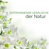 Entspannende Geräusche der Natur - Tiefenentspannung Atmospheres, Meditationsmusik zur Beruhigung und Zen Regeneration - Zen Musik Guru & Meditationsmusik