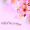 Meditar Profundamente - Atención Plena lyrics