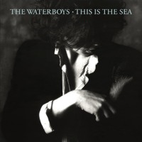 The Waterboys - This Is the Sea (2004 Remaster) artwork