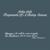 John Cale - Paris 1919 (live)