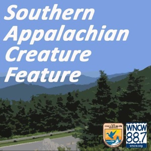 Cherokee education project