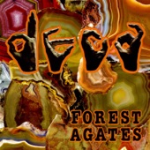 Forest Agates artwork