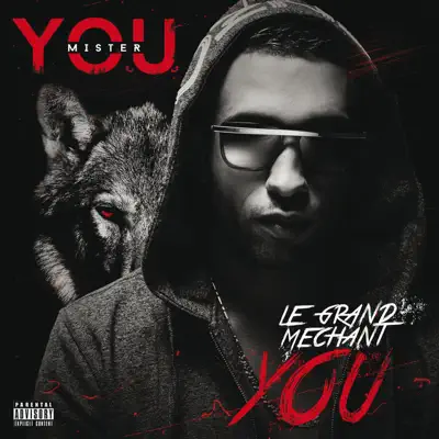 Le grand méchant You - Mister You