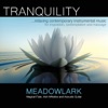 Tranquility - Relaxing Contemporary Instrumental Music for Inspiration, Contemplation and Massage
