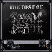 The Best of Napalm Death artwork