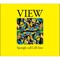 VIEW ジャケット写真