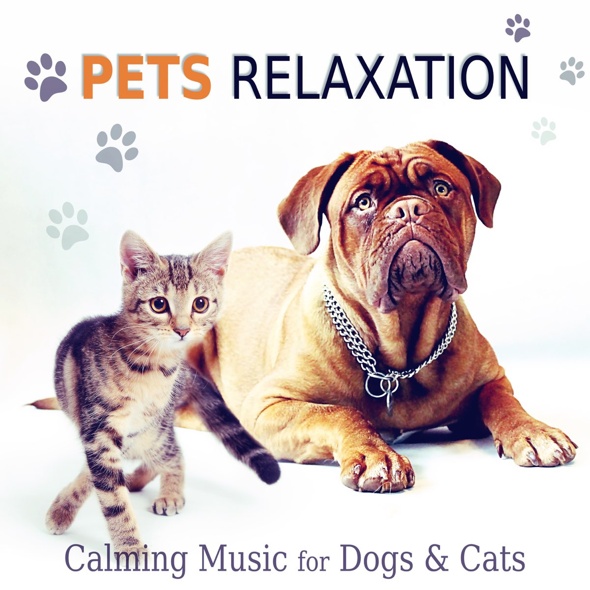 Pet Academy. Songs for Pets. Pets and Music Music for Cats and friends - Vol. 2. About Pets with Song. Pets музыка