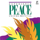 Experience Peace (Instrumental) artwork