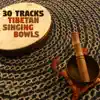 30 Tracks - Tibetan Singing Bowls: Peaceful Asian Oasis, Zen Nature to Calm Your Mind, Chinese Meditation Music, Relaxing Massage for the Soul album lyrics, reviews, download