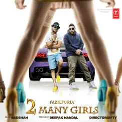 2 Many Girls - Single by Fazilpuria & Badshah album reviews, ratings, credits
