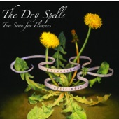 The Dry Spells - Rhiannon