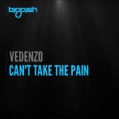 Can't Take the Pain artwork