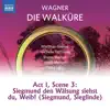 Stream & download Wagner: Die Walküre, WWV 86B: Siegmund, den Wälsung siehst du, Weib! - Single