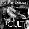 For the Animals - Single