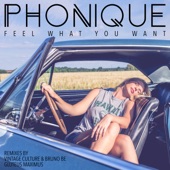 Feel What You Want (feat. Rebecca) [Vintage Culture & Bruno Be Remix] artwork