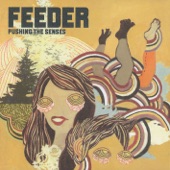 Feeder - Feeling a Moment