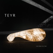 Teyr - Reeds & Fipple