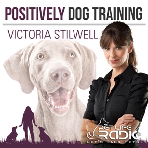 Positively Podcast - Episode 88 Holiday Help