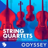 String Quartet No. 5 in D Major, Op. 76: II. Largo cantabile e mesto artwork