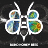 Blind Honey Bees, 2016