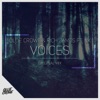 Voices (feat. NK) - Single