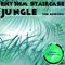 Jungle (Paul2Paul Remix) - Rhythm Staircase lyrics