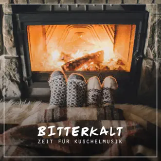 Bitterkalt: Zeit für Kuschelmusik by Various Artists album reviews, ratings, credits