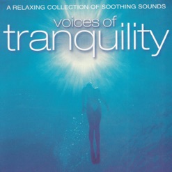 VOICES OF TRANQUILITY cover art