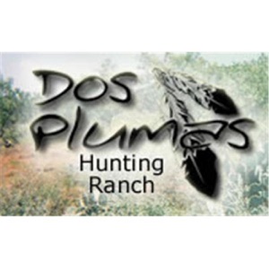 Texas Dove Hunting